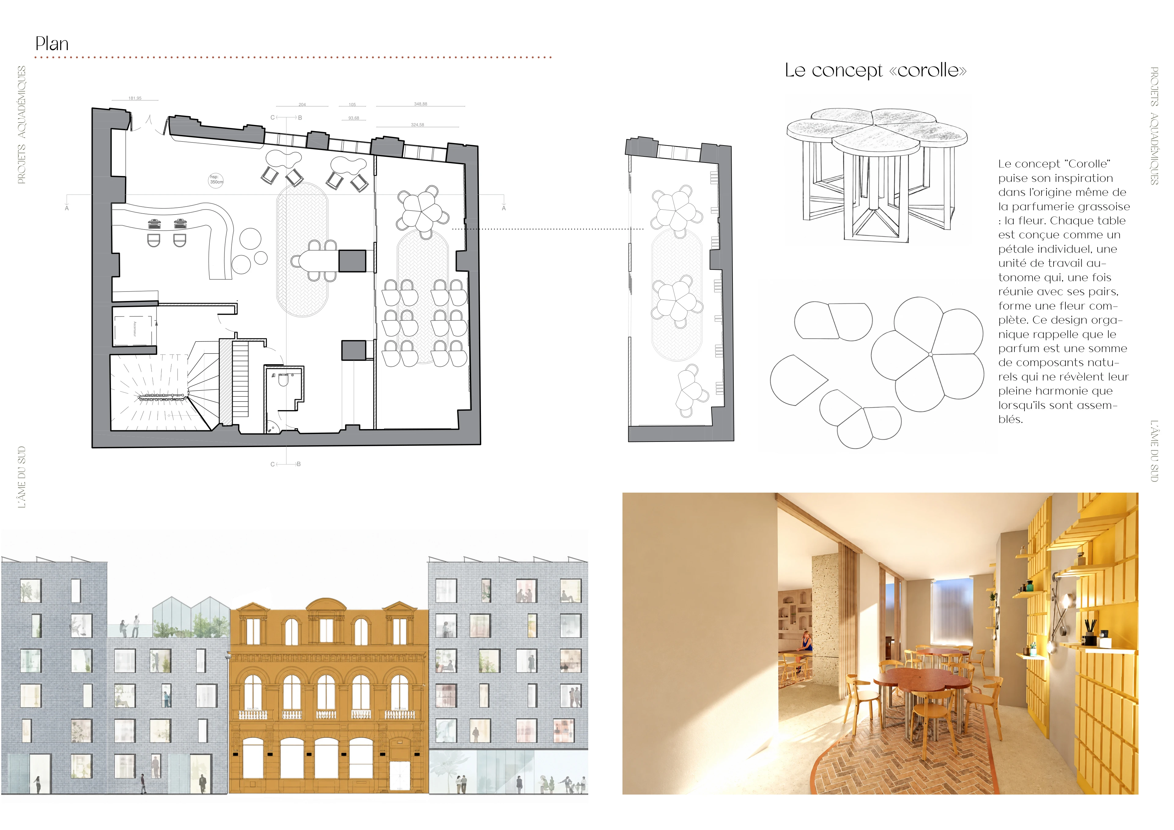 The Soul of the South - Floor plans & Corolle concept, portfolio board